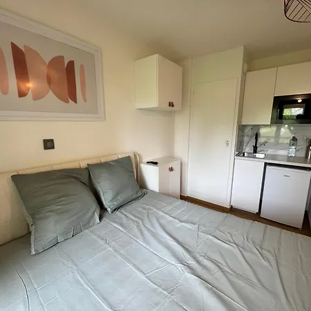 Modernite Strasbourgeoise Appartement Strasbourg